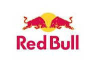 Red Bull 355ml